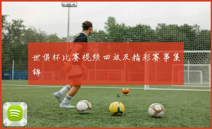 世俱杯比赛视频回放及精彩赛事集锦